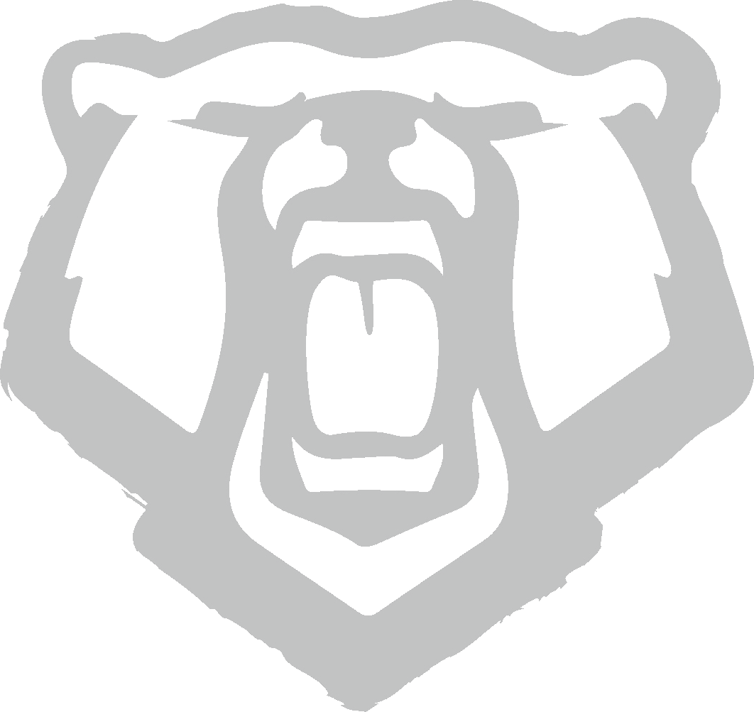 a bear logo